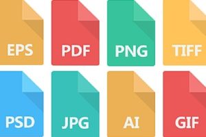 Perbedaan Format Gambar JPEG, PNG, WebP, BMP, SVG, PDF, GIF dan HEIC